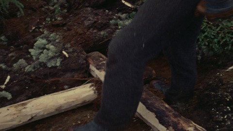 preview clip thumb